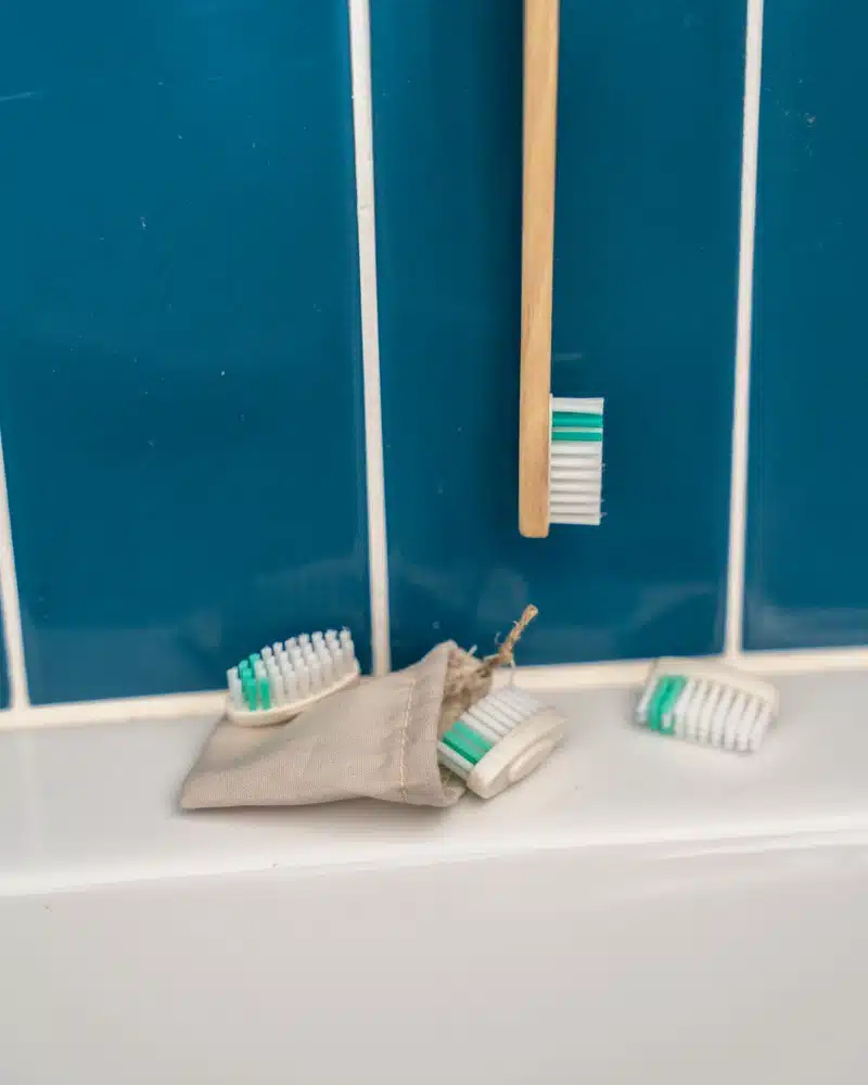 Fournisseur de pochettes pour les têtes de sa brosse à dents rechargeable