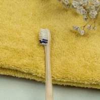fournisseur brosses à dents bois medium