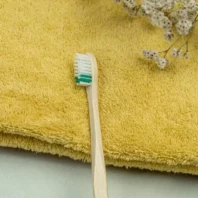 fournisseur brosses à dents bois souple